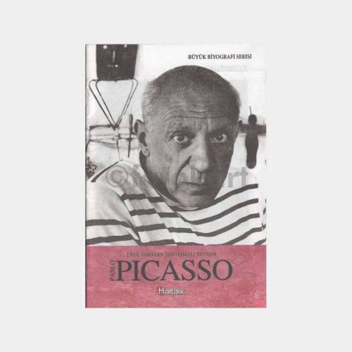 Ressam Picasso Tanıtım Kitapçığı