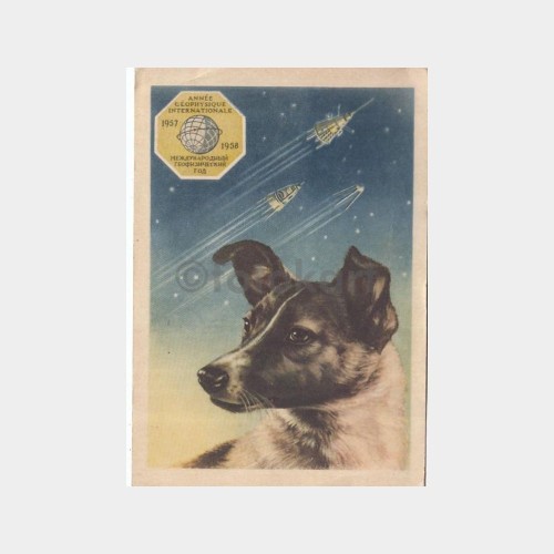 1957 Rusya Uzaya Giden İlk Köpek Konulu Tematik Kartı